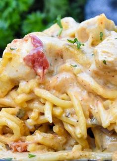 a close up of a pasta dish with chicken and cheese