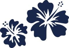 an image of two flowers that are in the shape of a hieroa or flower