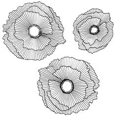 three flowers that are drawn in black and white, each with an intricate design on the petals