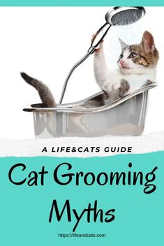 a cat is sitting in a bathtub with the title, a lifepacats guide cat grooming myths