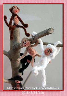 four stuffed monkeys hanging from a tree branch with pink border around them and text overlay that says, tips / facebook com want bears