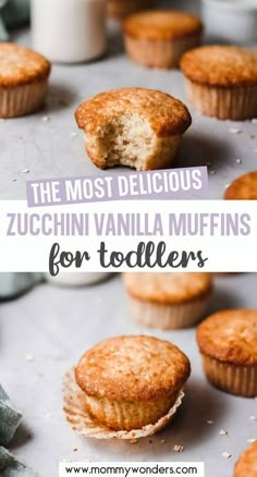 the most delicious zucchini vanilla muffins for toddlers are on display