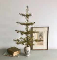 a small pine tree sitting on top of a table next to a book and framed photograph