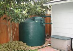 a large green water tank sitting next to a tree in a yard with other plants