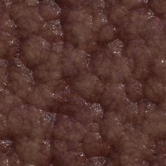 a close up view of some brown substance