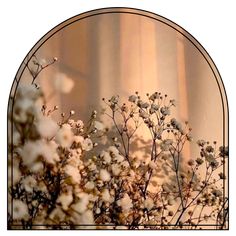 some white flowers are in front of a mirror