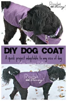 a black dog wearing a purple coat in the snow with text overlay that says diy dog coat