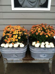 two metal containers filled with flowers and pumpkins