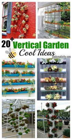 several different types of vertical garden plants