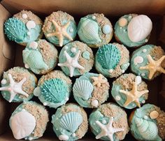 cupcakes decorated with seashells and starfish in a box