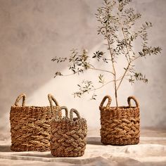 three woven baskets with handles next to a small tree