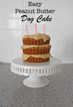 an easy peanut butter dog cake with frosting and two candles on top, sitting on a white cake plate