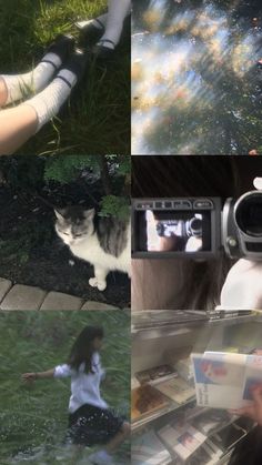 a collage of photos with a cat and woman in the middle one is holding a camera