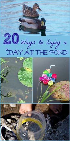 there are pictures of ducks in the water and on the ground, with text overlay that reads 20 ways to enjoy a day at the pond