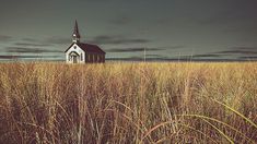 an old church sits in the middle of a field with tall grass on either side