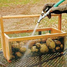 a person spraying water into a crate filled with chickens