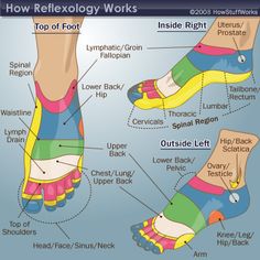 Nerves and crystals in reflexology explain how areas of the feet may be related to sections of the body. Learn about nerve and crystals in reflexology. Reflexology Chart, Reflexology Massage, Foot Reflexology, Healthy Advice, Acupressure Points, Foot Massage, Alternative Health, Pressure Points, Reflexology