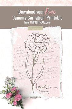 download your free January birth flower printable January Magick, Carnation Birth Flower, Script Background, January Flower, January Carnation, Planner Themes, January Birth Flowers, New Birth, Birth Flower Tattoos