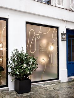 a potted plant sitting in front of a store window with lights on the windows