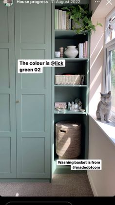 a cat sitting on top of a green book shelf next to a window in a room