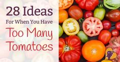 tomatoes and peppers with text overlay that says 28 ideas for when you have too many tomatoes