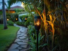 a path in the middle of a lush green yard with lights on it and palm trees