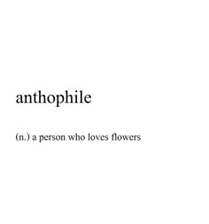 the words antophile are written in black and white