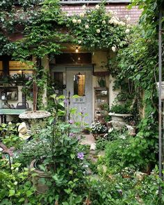 an outdoor garden with lots of flowers and plants growing on the side of the building