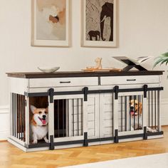 two dogs sitting in their kennels on the floor