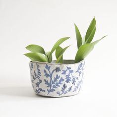 a small blue and white planter with green leaves in it's center, on a white background