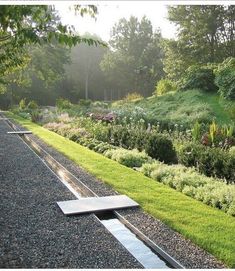 a garden with lots of green grass and flowers on the side of it, next to a water feature