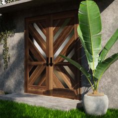 a potted plant sitting in front of a wooden door on the side of a building