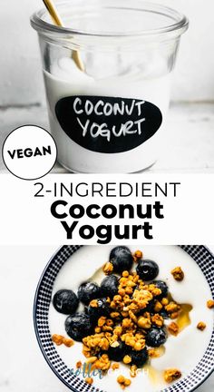 two ingredient coconut yogurt in a glass bowl and on a plate next to it