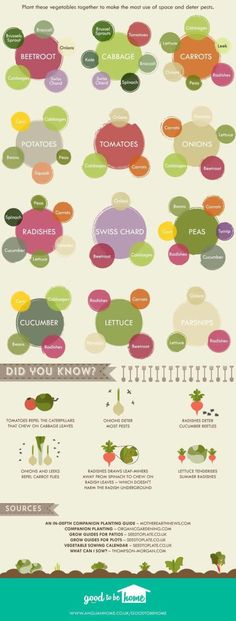 an info sheet showing the different types of aircrafts in each country, and how they are