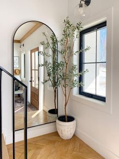 a potted plant sitting in front of a mirror next to a wooden floor and stairs