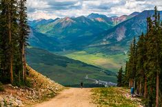 two people riding bikes on a dirt road in the mountains with green grass and trees