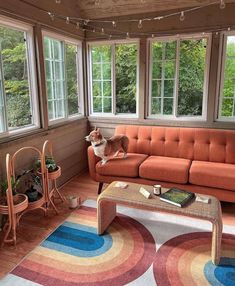 a dog is sitting on the couch in a sun room with large windows and colorful rugs