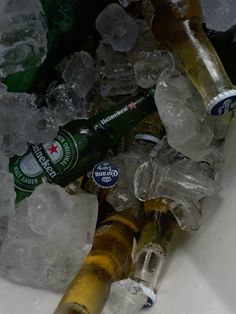 several bottles of beer are sitting in ice cubes