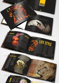 an open magazine is shown with the pages folded out and showing images of animals on it