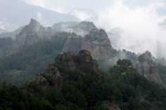 the mountains are covered in thick fog and low lying clouds, with green trees on each side