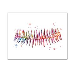 Human Teeth Anatomy, Dental Painting, Dentist Decor, Dentist Poster, Dental Accessories, Dental Wall Art, Tooth Art, Dental Ideas, Dental Wallpaper