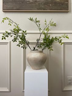 there is a vase with some plants in it on a stand next to the wall