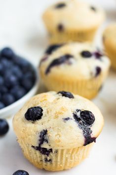 blueberry muffins with fresh blueberries in the background and text overlay that reads, i love vegan blueberry muffins