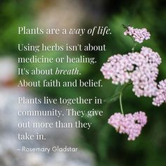 Holistic Herbalism, Rosemary Gladstar, A Way Of Life, Apothecary, Spirituality, Herbs, Stuffed Mushrooms, Healing