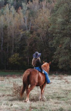 Grooming Horse, High School Rodeo, Horse Nutrition, Horse Photography Poses, Horse Behavior