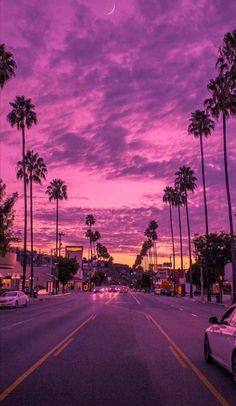 a street with palm trees and purple sky