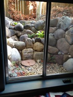 there is a rock wall in the window