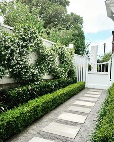 a white fence and some bushes in front of it