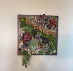 an arrangement of succulents and other plants is mounted on the wall