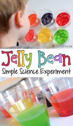 Bean Science Experiment, Jelly Bean Science Experiment, Easter Science Experiments, Easter Science, Spring Science, Science Experience, Pre-k Science, Science Experiment For Kids, Experiment For Kids